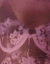 burgundy lace bra scan