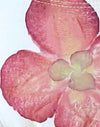 Ivory with Pink Orchid