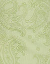 Retro Paisley Lime