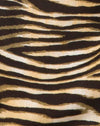 Image of Datista Slip Dress in Zips Zebra Brown