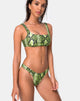 Image of Farida Bikini Top in Slime Lime Snake