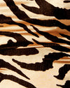 Tiger Gold