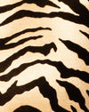Tiger Gold
