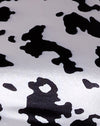 Dalmatian Black and White