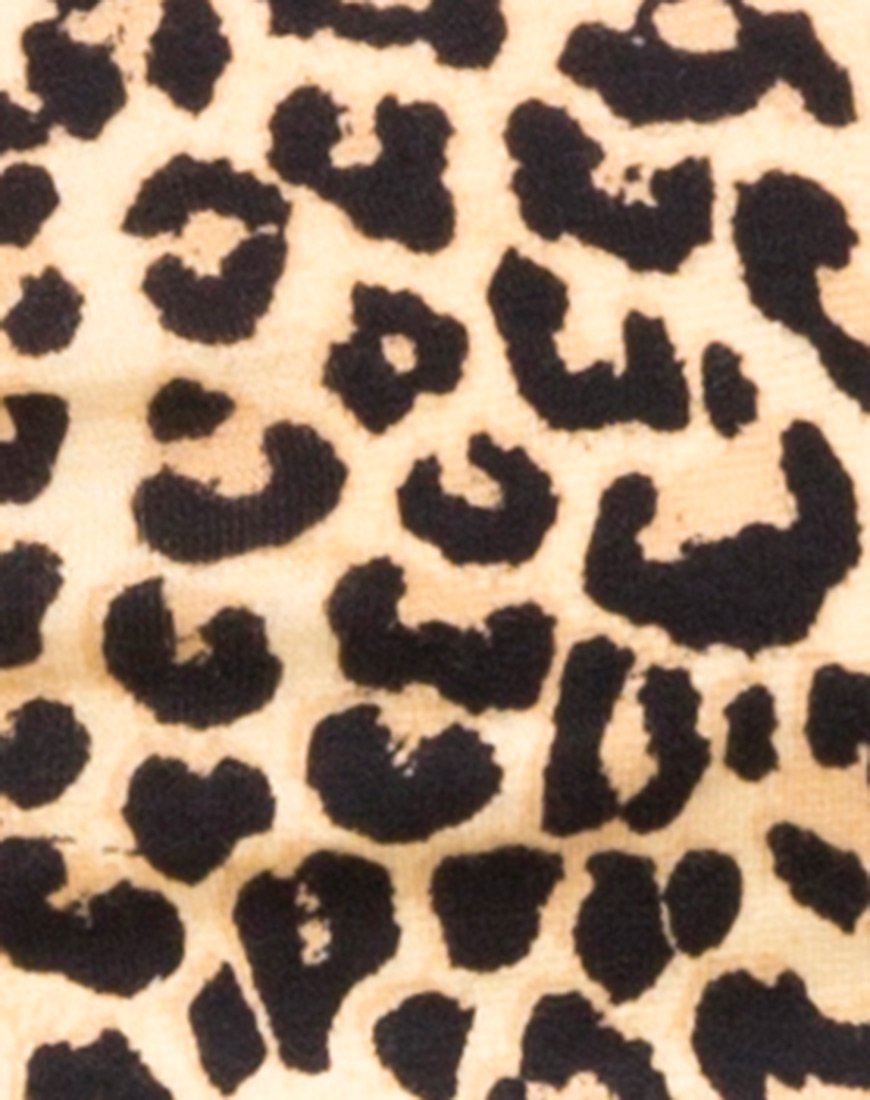 Image of Shim Cutout Crop Top in Rar Leopard