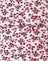 Summer Strawberry Off White