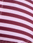 Vivid Lines Purple and Pink