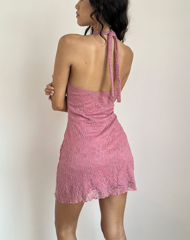 Image of Codami Halterneck Mini Dress in Lace Dusty Rose