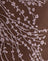 Moonlit Blossom Brown