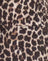 Rar Leopard Sandstorm