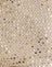 Sequin Knit Cream