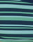 Irregular Stripe Green