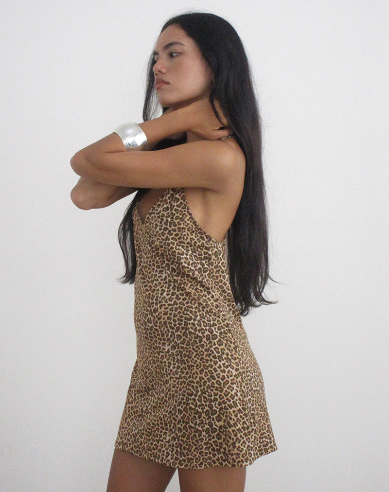 Image of Entari Mini Dress in Rar Leopard Brown