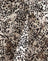 Wild Leopard Print