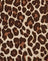 Rar Leopard