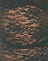 Jet Black Lace