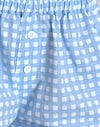 blue gingham
