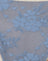 Blue Mesh with Ivory Binding