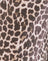 Rar Leopard Sandstorm