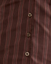 Stripe Brown