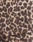 Rar Leopard Sandstorm
