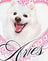 White with Aries Motel Pet Print