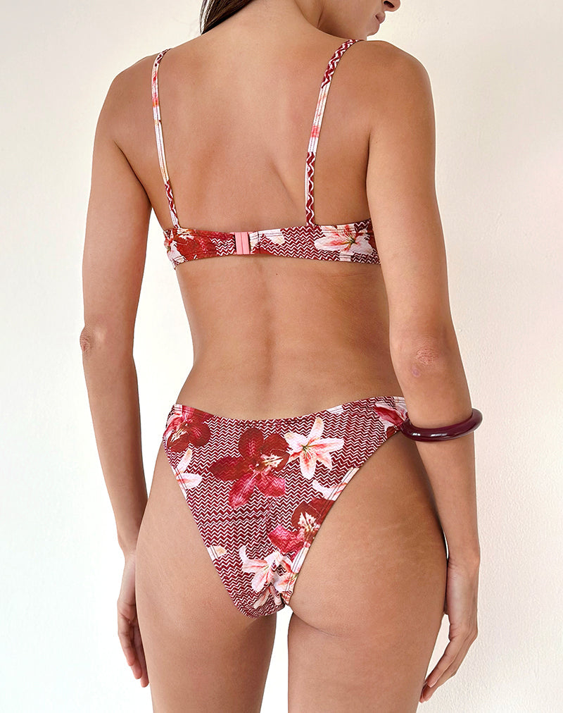Image of Pali Bikini Top in Zig Zag Lily Burgundy
