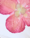 Ivory with Pink Orchid