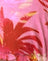 Pink Palm