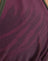 Abstract Zebra Burgundy with Green Binding