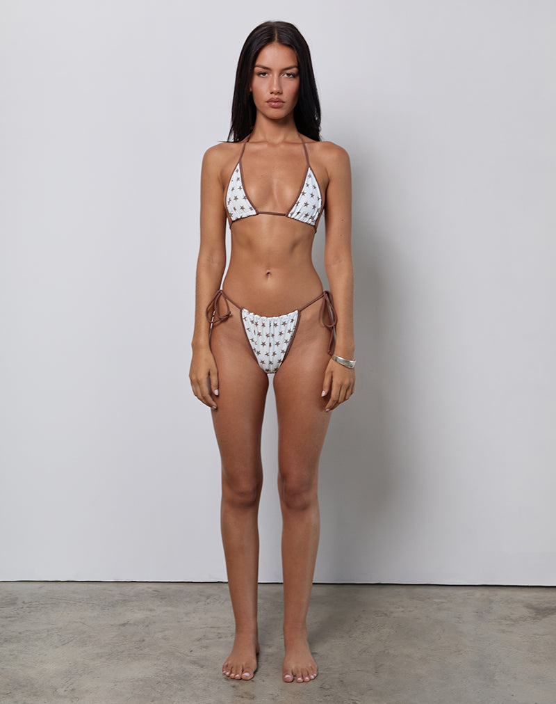 Image of Leyna Bikini Bottom in White and Brown Star Print with Contrast Binding