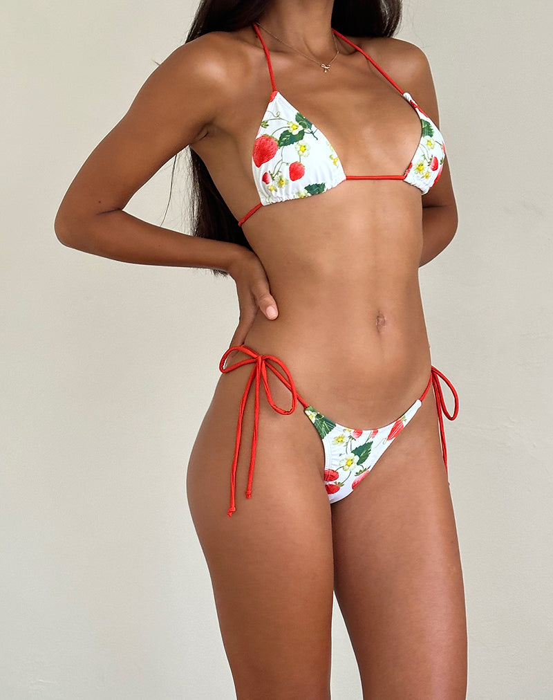 Pami Bikini Top in Blooming Strawberry with Contrast Binding