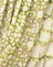 Croc Green