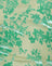 Floral Flock Green and Blue