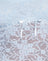 Lace Ice Blue