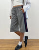 image of Ridley Side Stripe Shorts in Grey