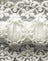 White with Scalloped Lace