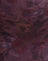 Mesh Blurry Floral Burgundy