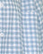 Blue Gingham