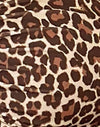  Rar Leopard