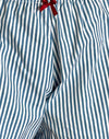 Small Stripe Vertical Blue