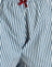 Small Stripe Vertical Blue