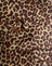  Rar Leopard