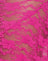  Orchid Lace Hot Pink