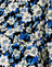 Aster Blue