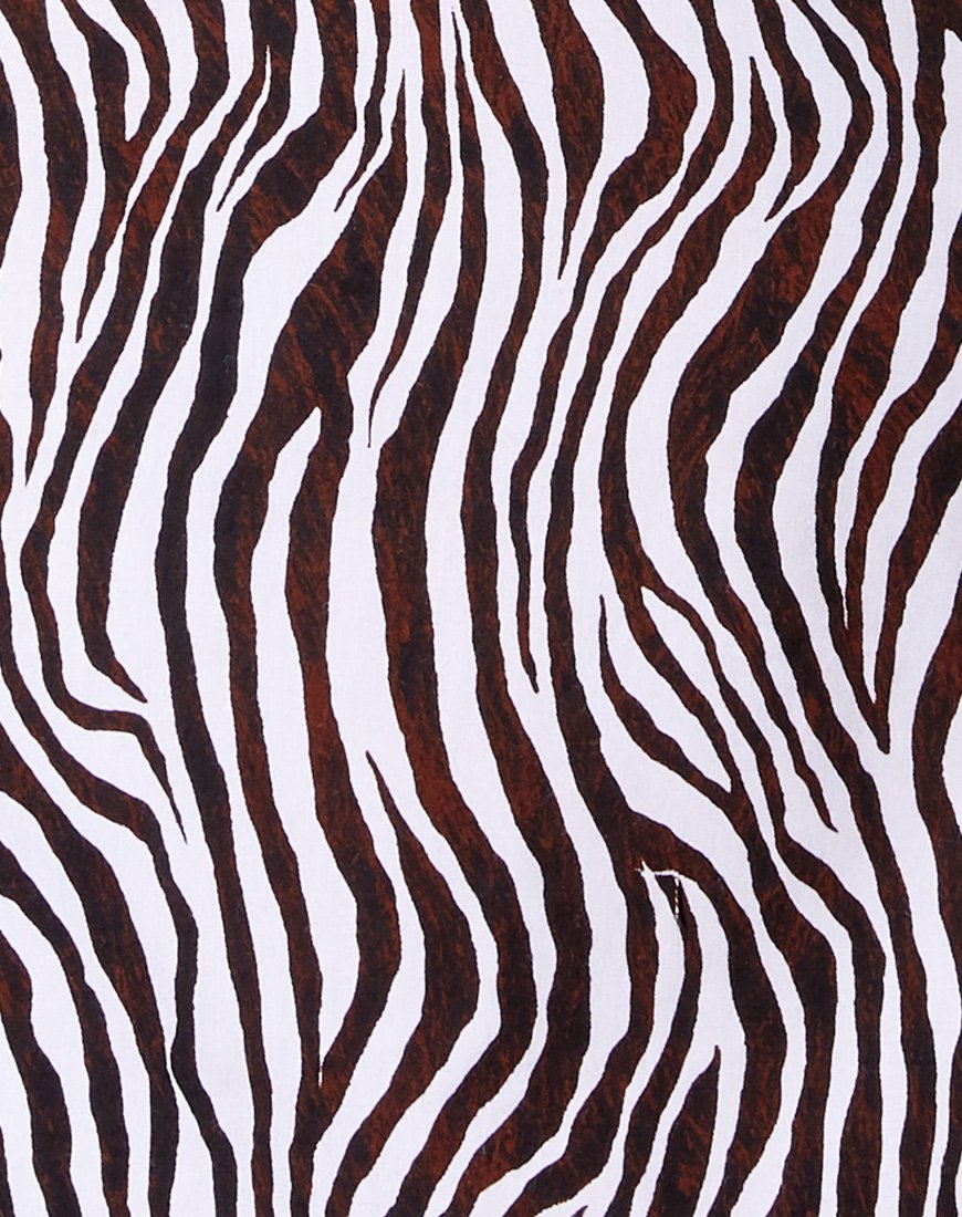 Image of Datista Slip Dress in Zebra Vertical