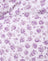 Ditsy Rose Lilac