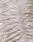 Tonal Zebra