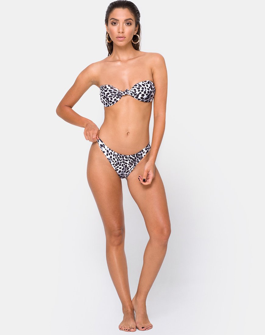 Image of Dita Bikini Bottom in Dalmatian