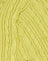 Knit Olive